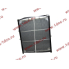 Радиатор WP10 SH SHAANXI / Shacman (ШАНКСИ / Шакман) DZ9112539268 фото 2 Тамбов