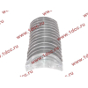 Вкладыши коренные двигателя CA6DL2 (36D) F FAW (ФАВ) 1002034A36D/1002035A36D для самосвала фото 3 Тамбов